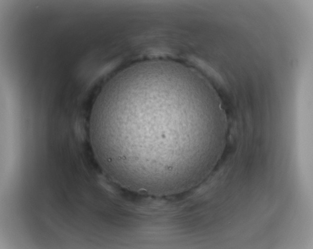 X0000113881207200910011125