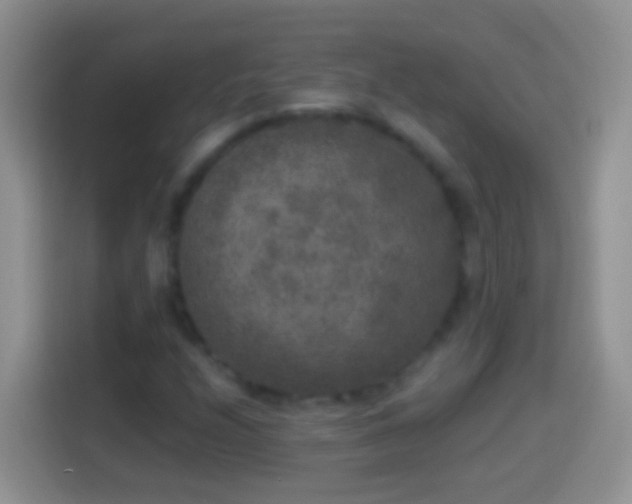 X0000113881208200910011125