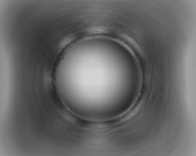 X0000113881210200910011126