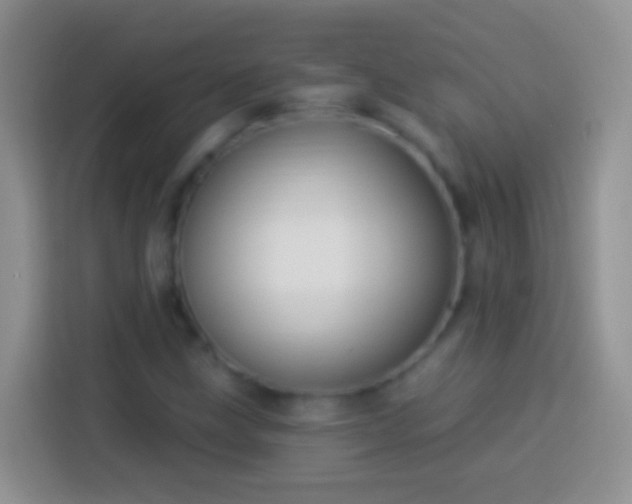 X0000113881211200910011126