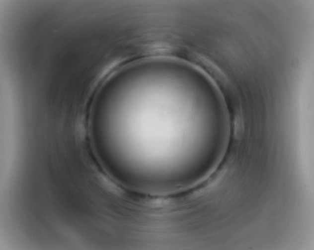 X0000113881212200910011126