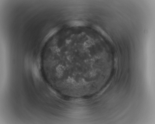 X0000113881213200910011126