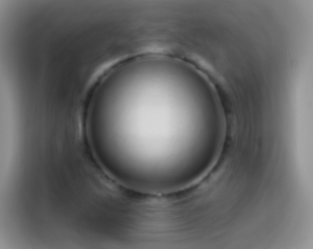 X0000113881214200910011126