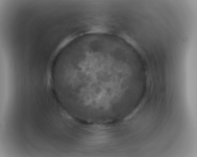 X0000113881215200910011126