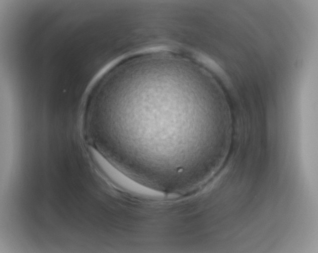 X0000113881216200910011126