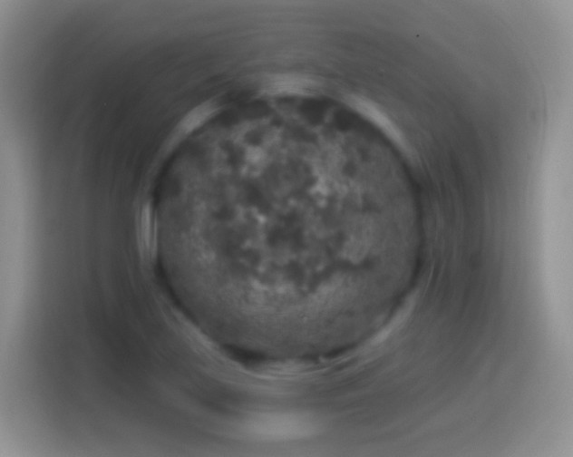 X0000113881219200910011126