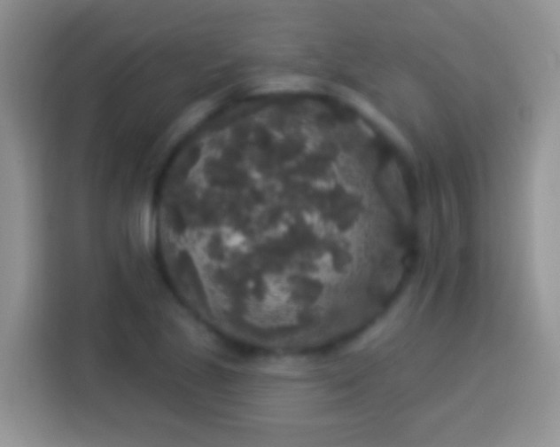 X0000113881221200910011126