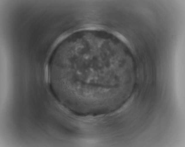 X0000113881223200910011126