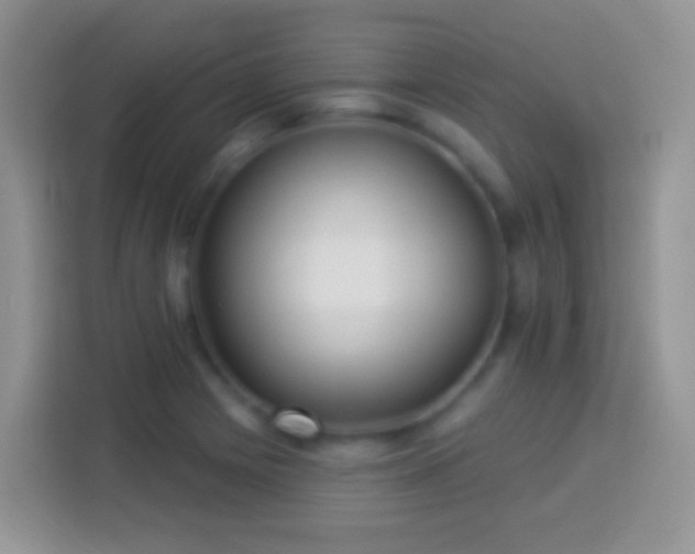 X0000113881225200910011126