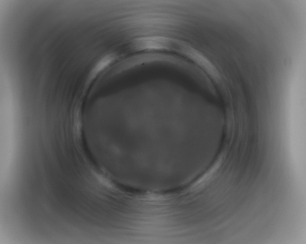 X0000113881226200910011126