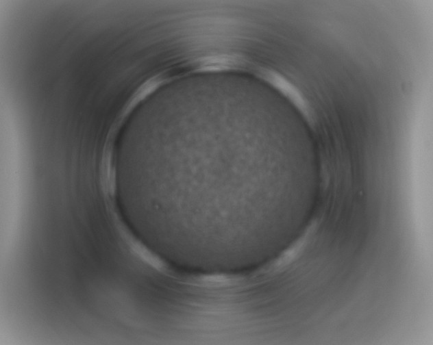 X0000113881227200910011126