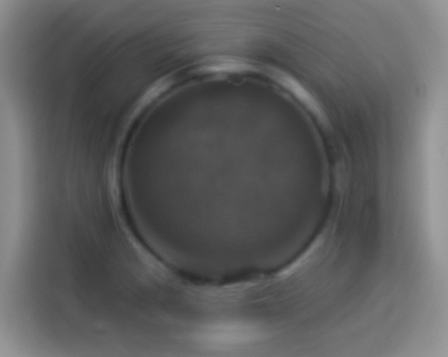 X0000113881229200910011126