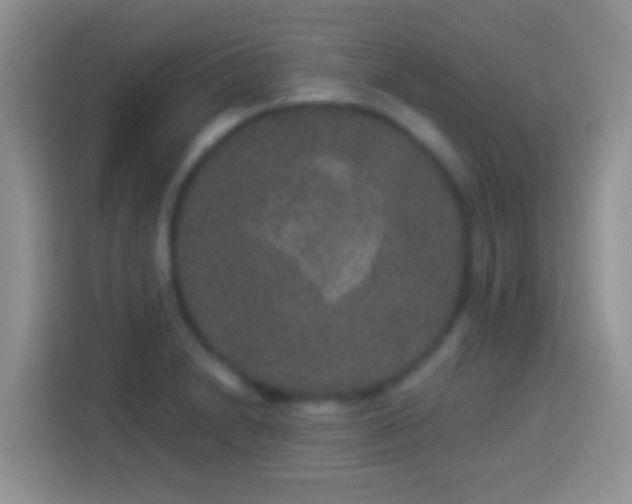 X0000113881230200910011126