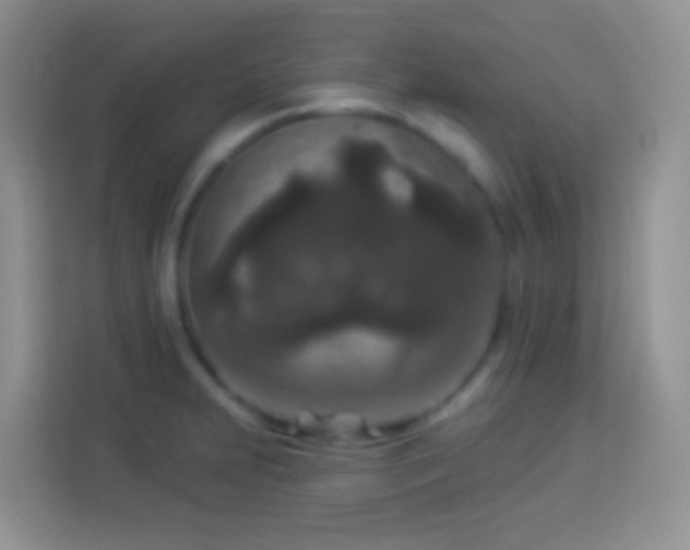 X0000113881231200910011126