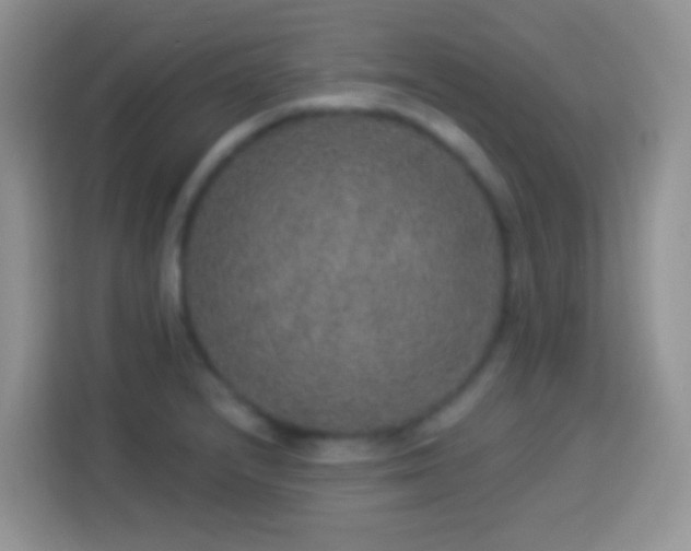 X0000113881232200910011126