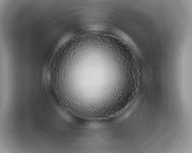 X0000113881234200910011126