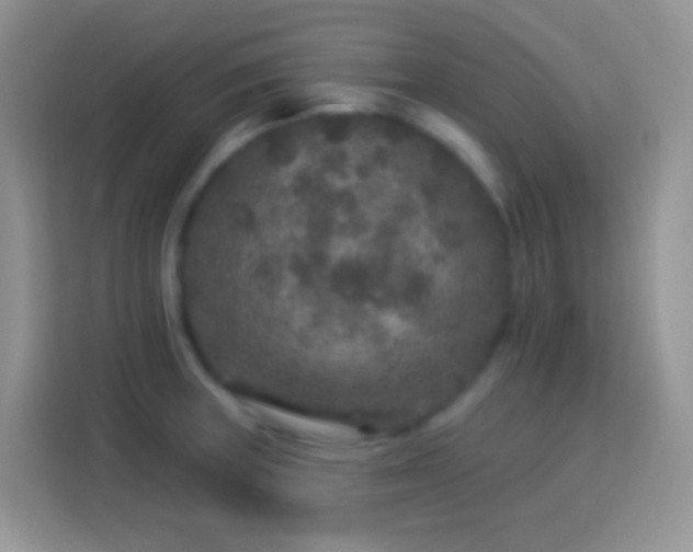 X0000113881235200910011126