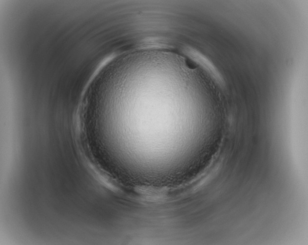 X0000113881236200910011126