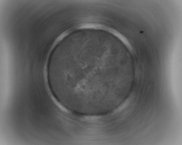 X0000113881237200910011126