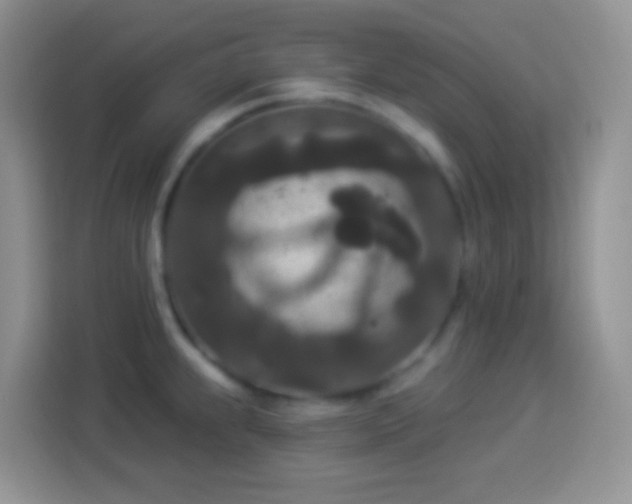 X0000113881239200910011126