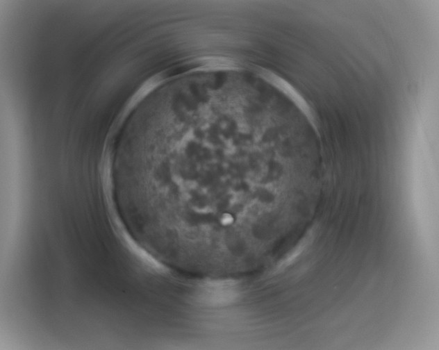 X0000113881243200910011126