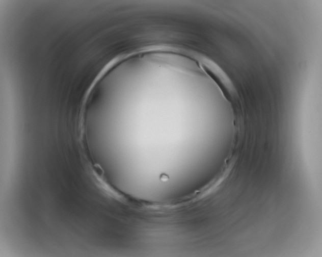 X0000113881244200910011126