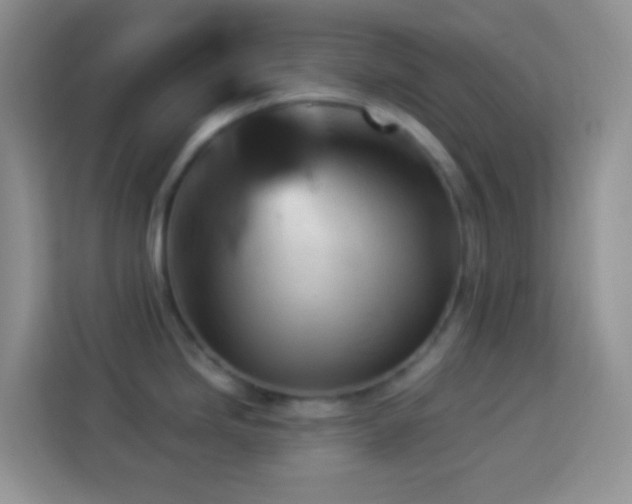 X0000113881246200910011126