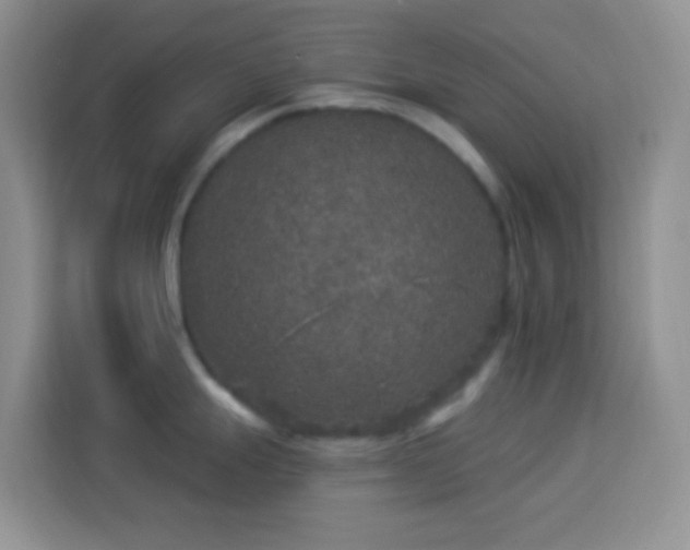 X0000113881247200910011126