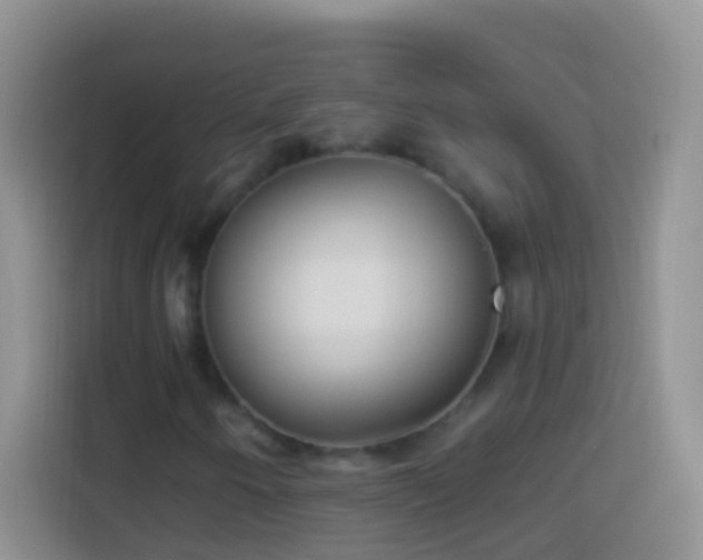 X0000113881250200910011125