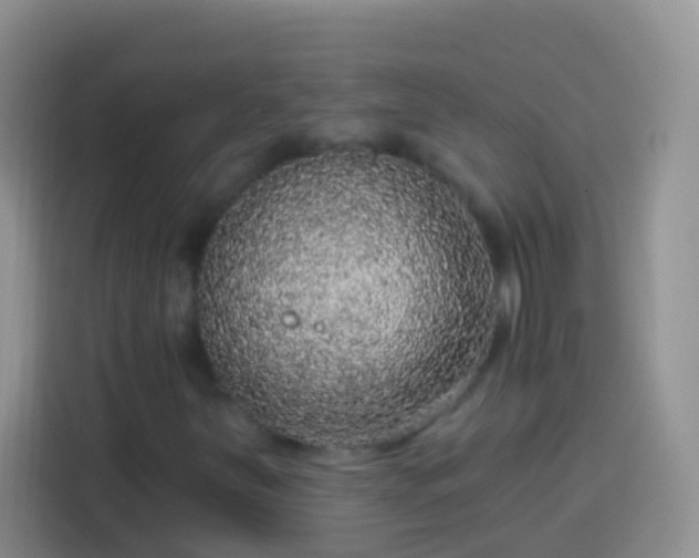 X0000113881251200910011125