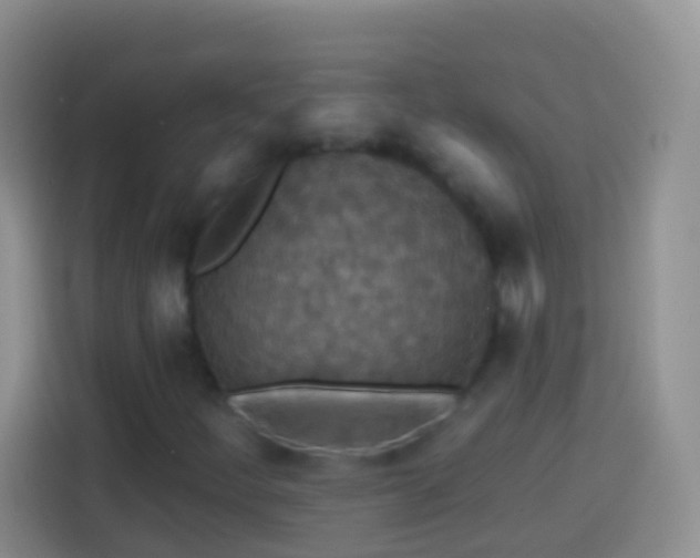 X0000113881252200910011125