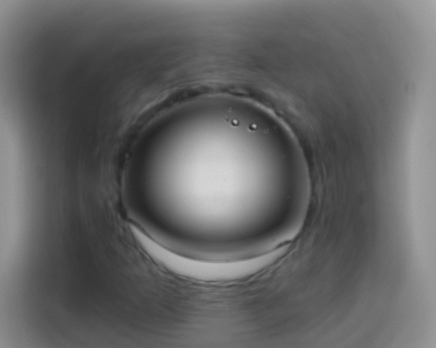 X0000113881253200910011125
