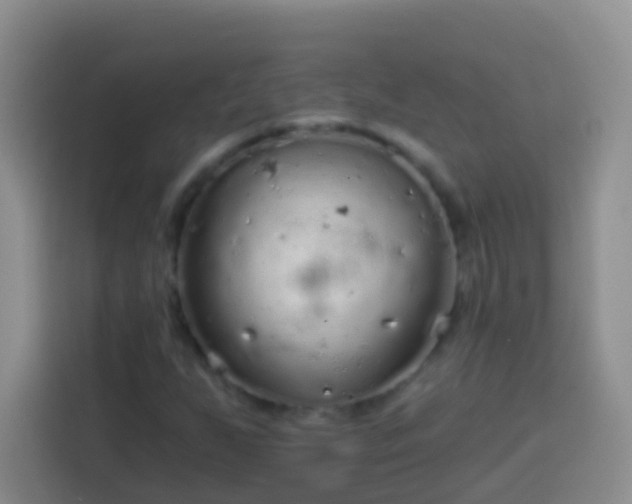 X0000113881255200910011125