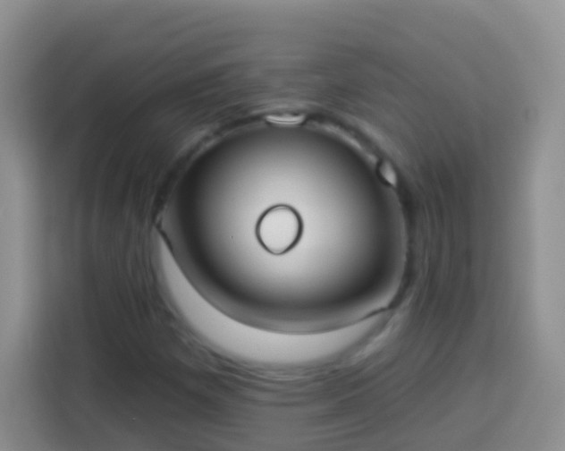 X0000113881257200910011125