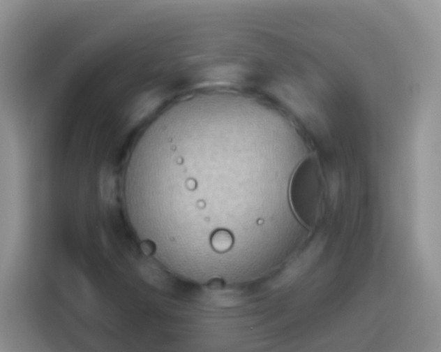 X0000113881258200910011125