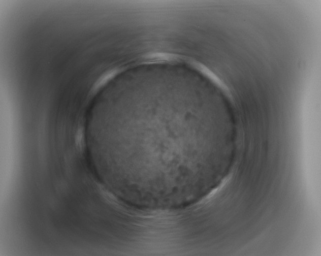 X0000113881259200910011125