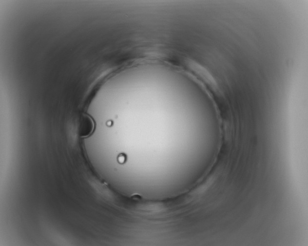 X0000113881260200910011125