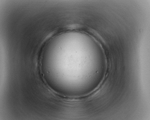 X0000113881261200910011125
