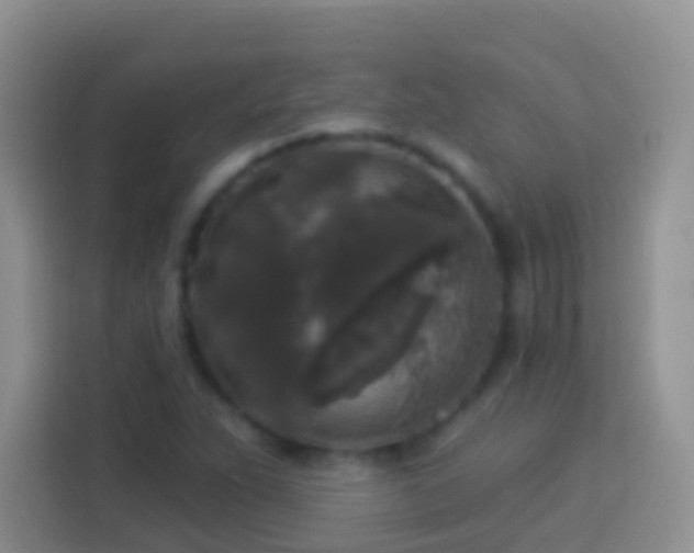 X0000113881263200910011125