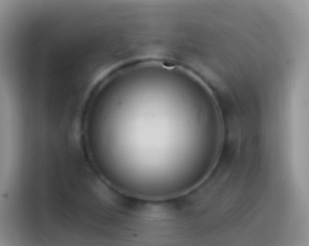 X0000113881264200910011125