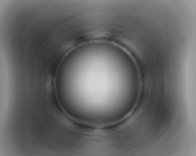 X0000113881265200910011125