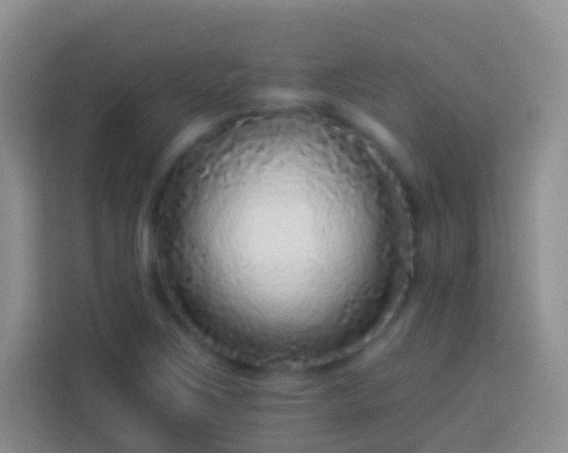 X0000113881267200910011125