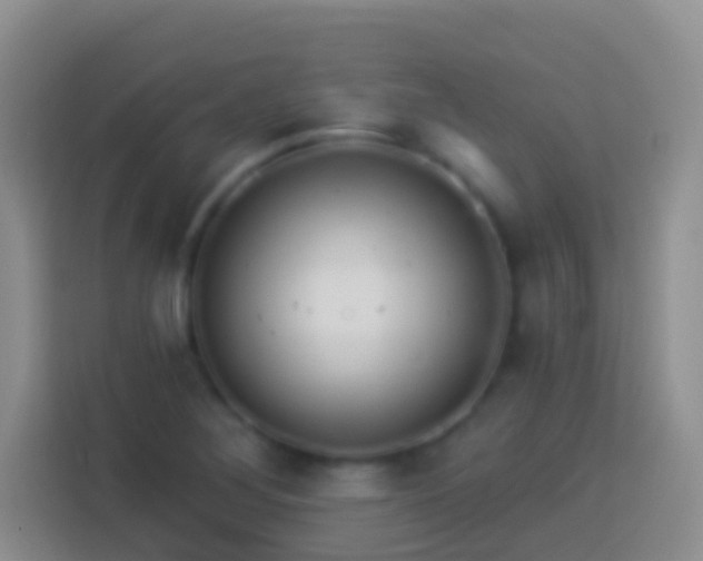 X0000113881268200910011125