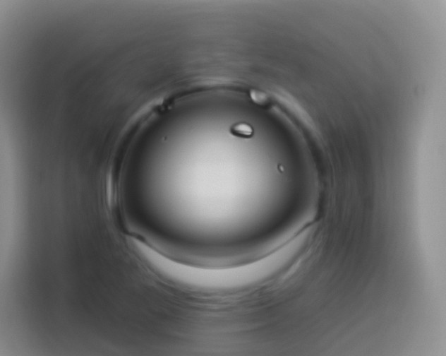 X0000113881269200910011125