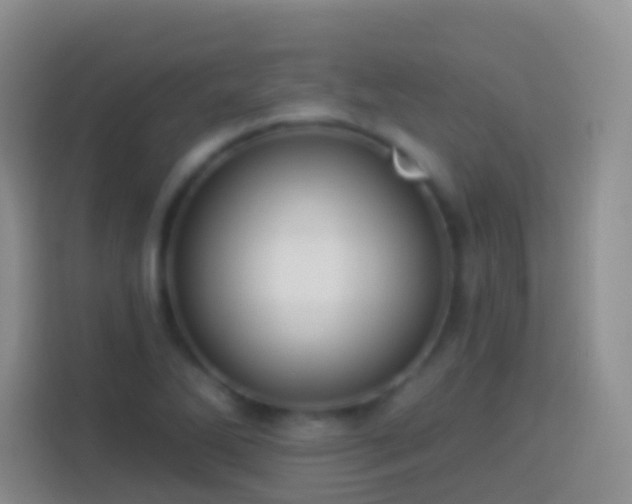 X0000113881270200910011125