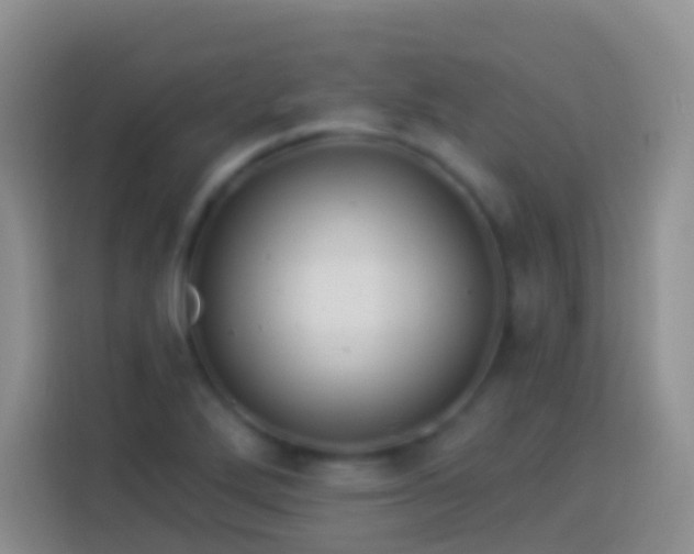 X0000113881272200910011125