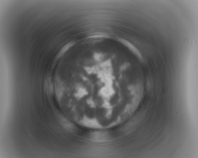 X0000113881274200910011125