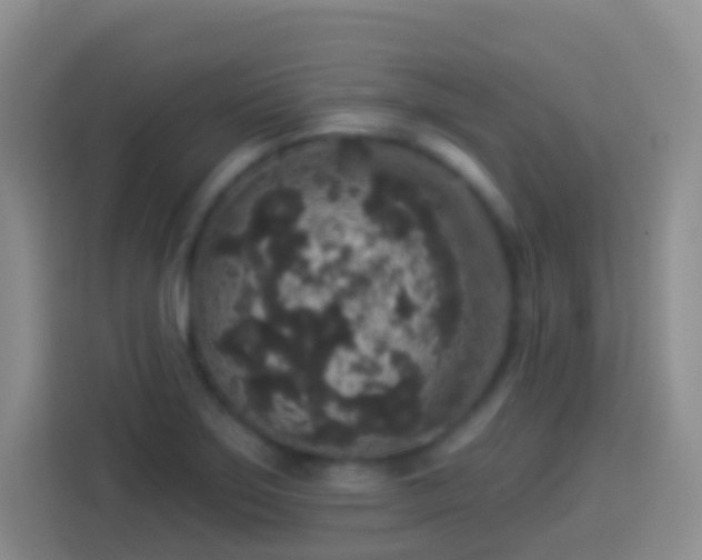 X0000113881275200910011125