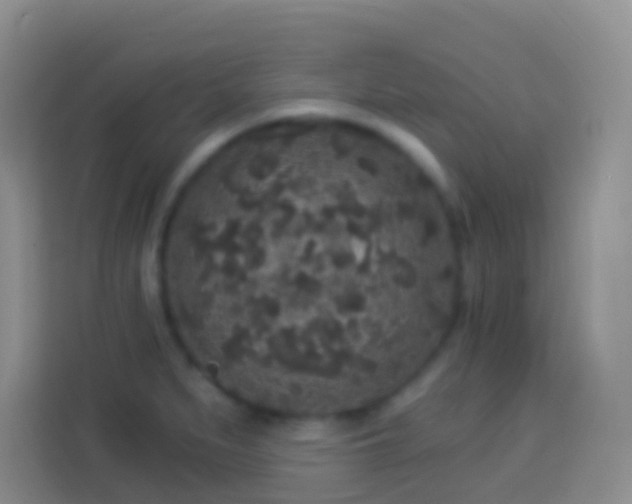 X0000113881279200910011125