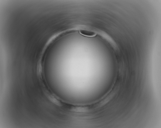 X0000113881280200910011125